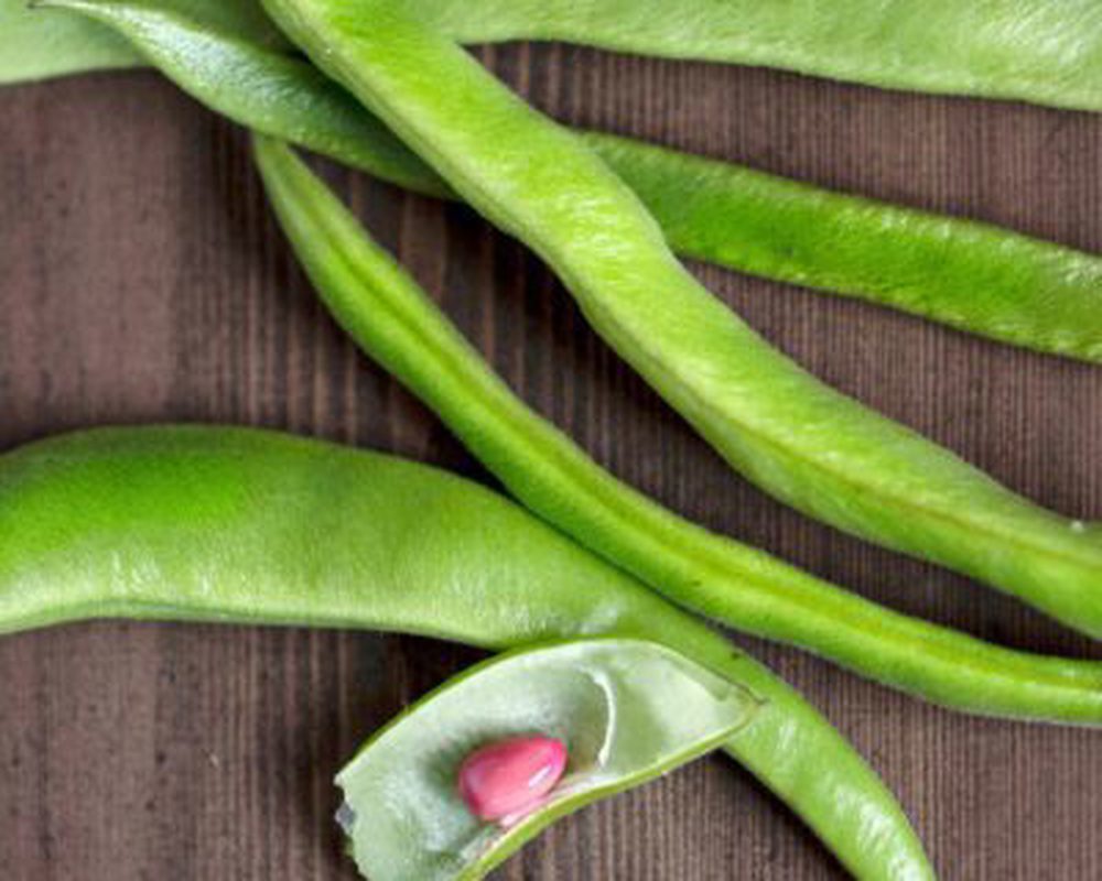 Beans Runner 400g