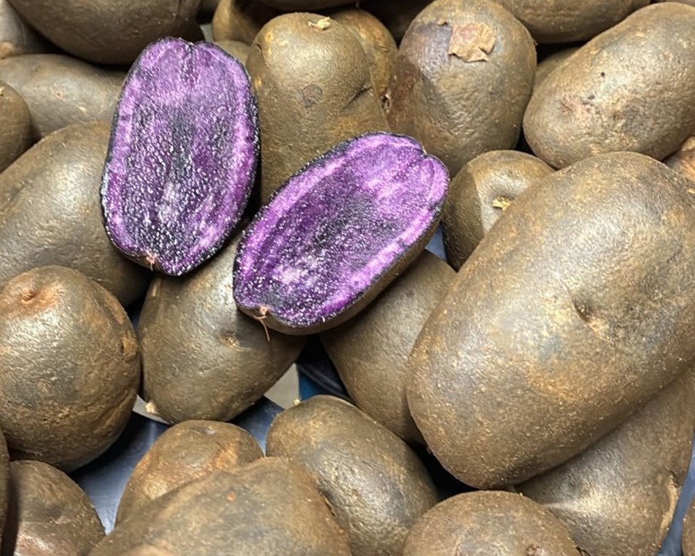 Red Salad Potatoes