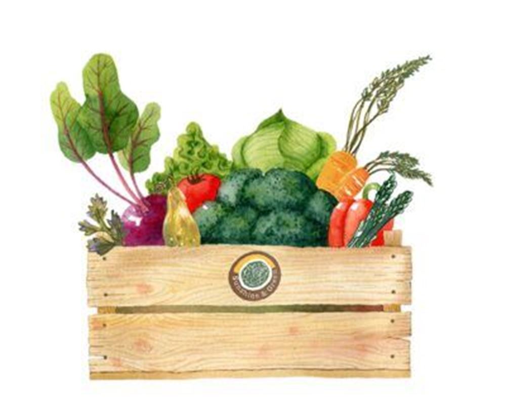 Standard Veggie Box