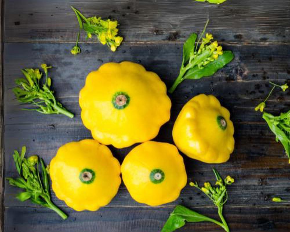 Patty Pan