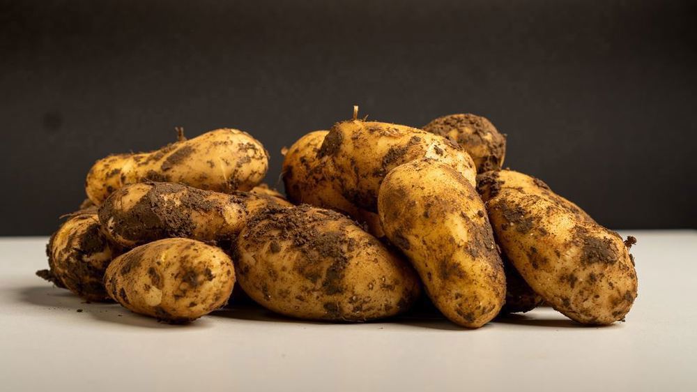 New potatoes (Colleen)