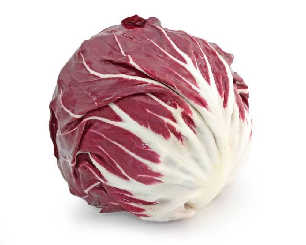 Radicchio