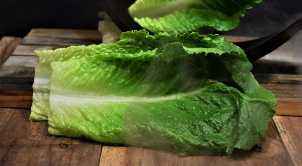 Romaine