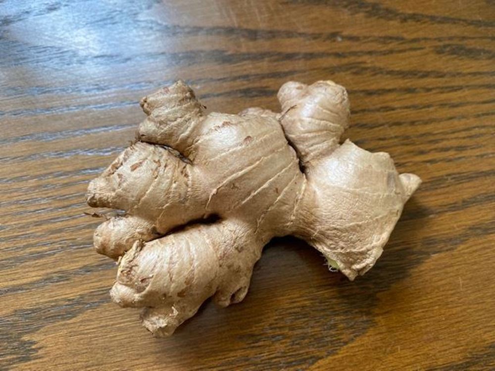 x.Ginger Root