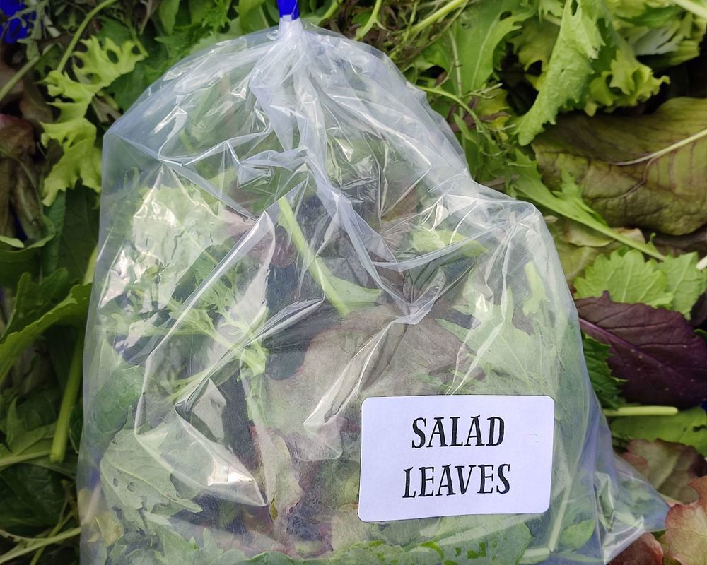 Mixed Salad WITH FLOWERS 100g (Own Grown)