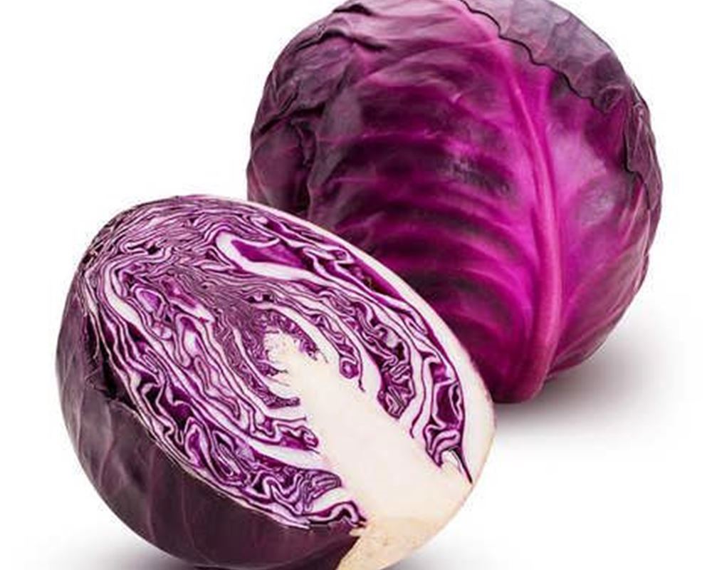 Cabbage - Red