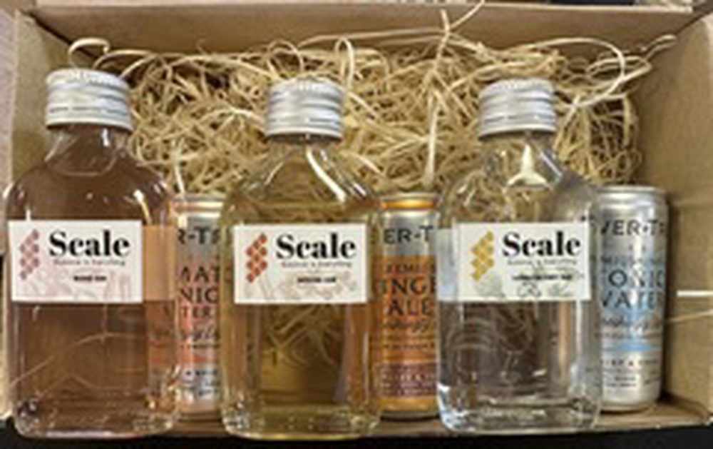 Scale Gin Sample Box