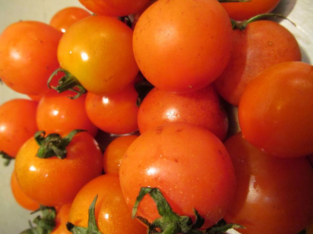 Honey Comb Cherry Tomato