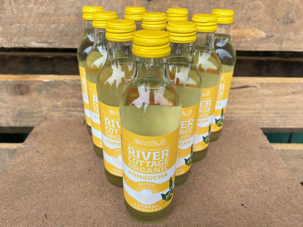 Kombucha: Sicilian Orange & Yuzu