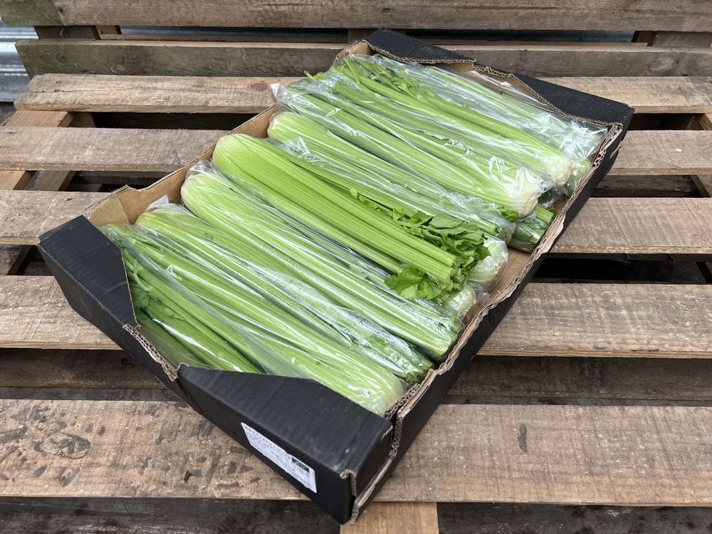 Organic Celery Cut in Bags