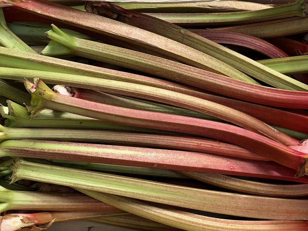 Rhubarb (500g)