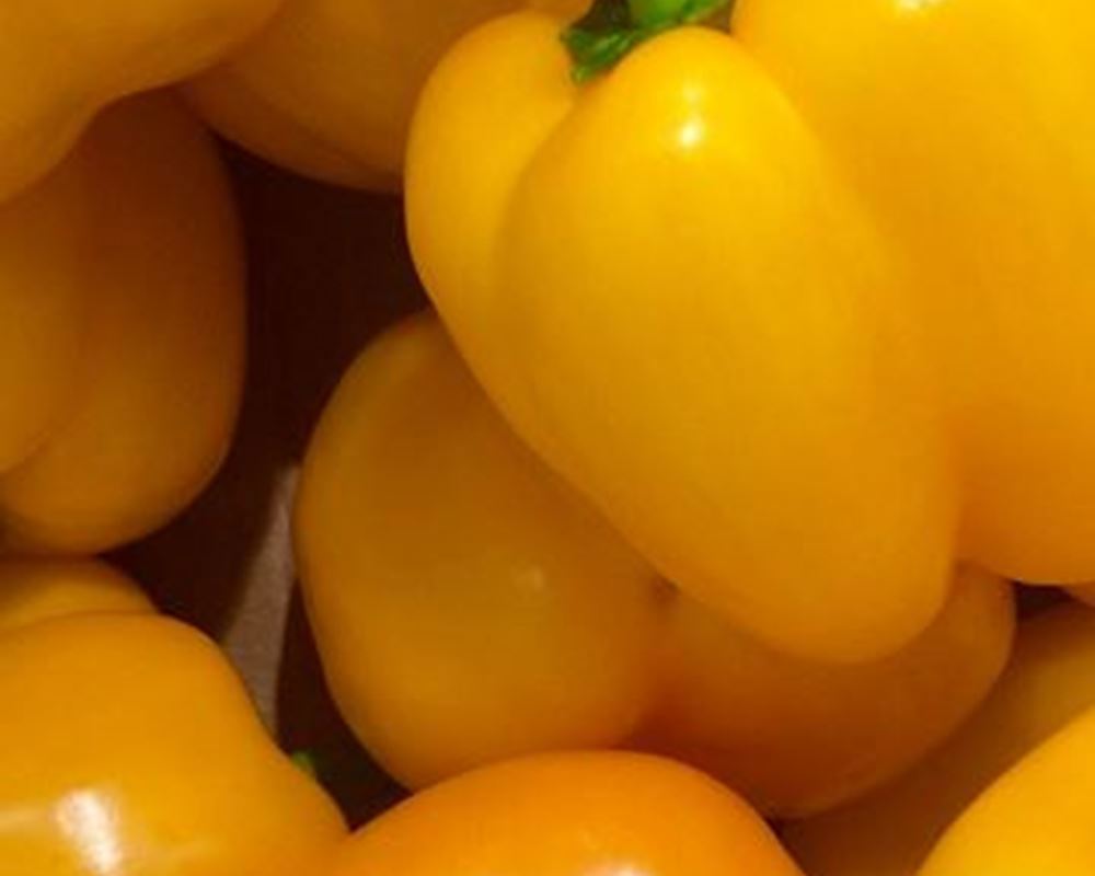 Pepper (Yellow) - Organic