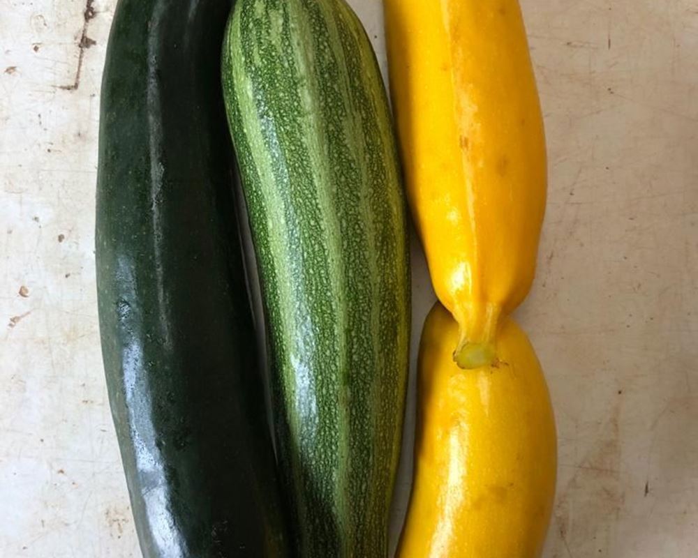 Courgettes 500g