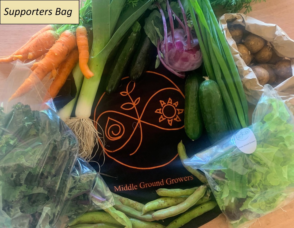 Large Veg Bag - Supporter