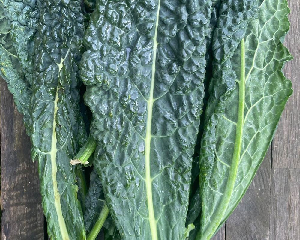 Kale: Black