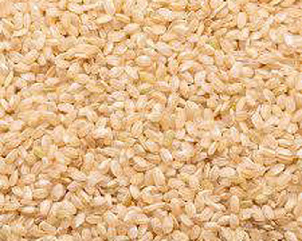 Beaniepack Organic Short Grain Brown Rice