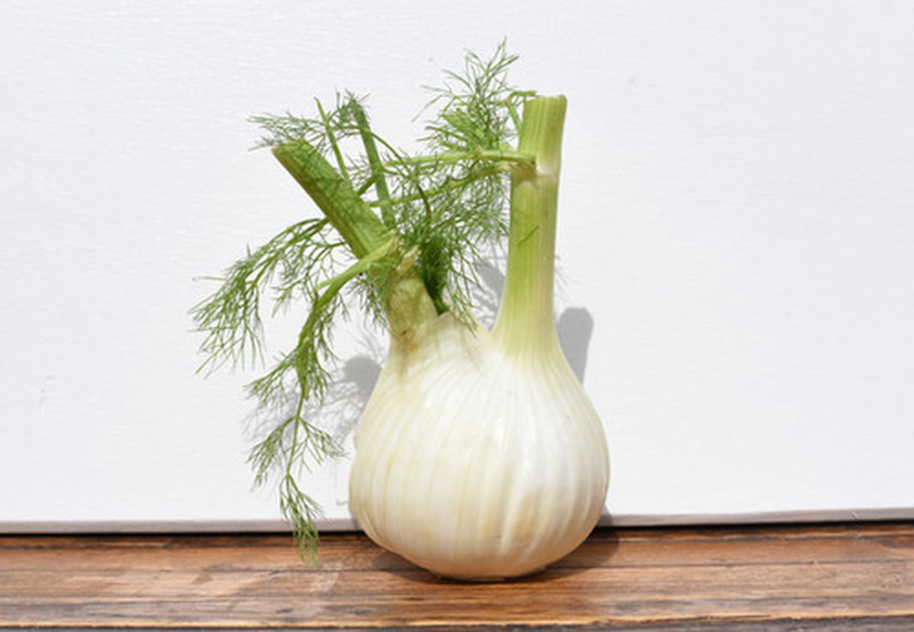 Organic Fennel Bulb Whole