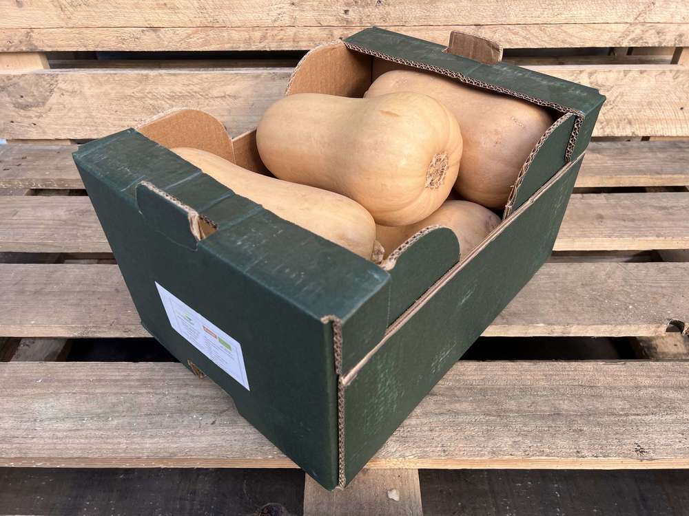 Organic Butternut Squash