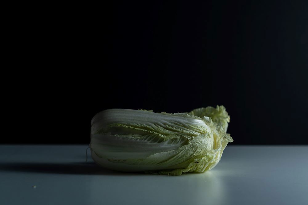 Napa cabbage