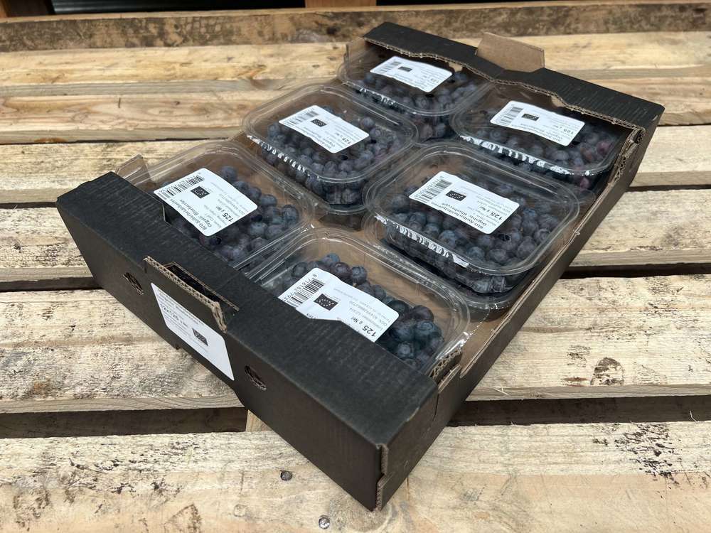 Organic Blueberries