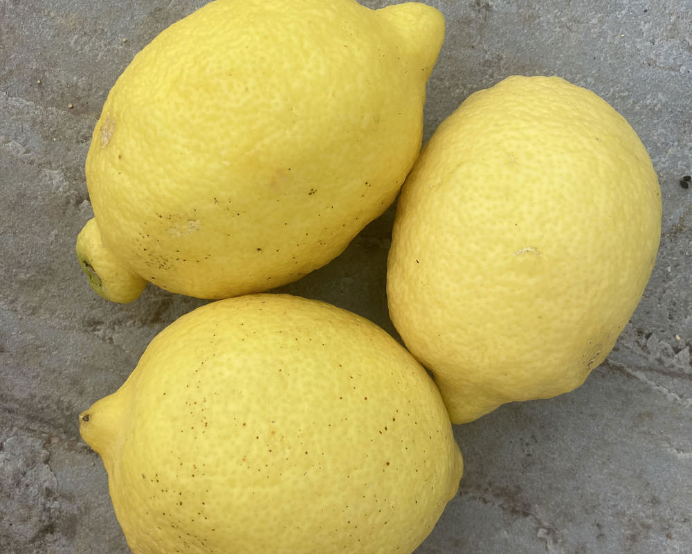 Lemon