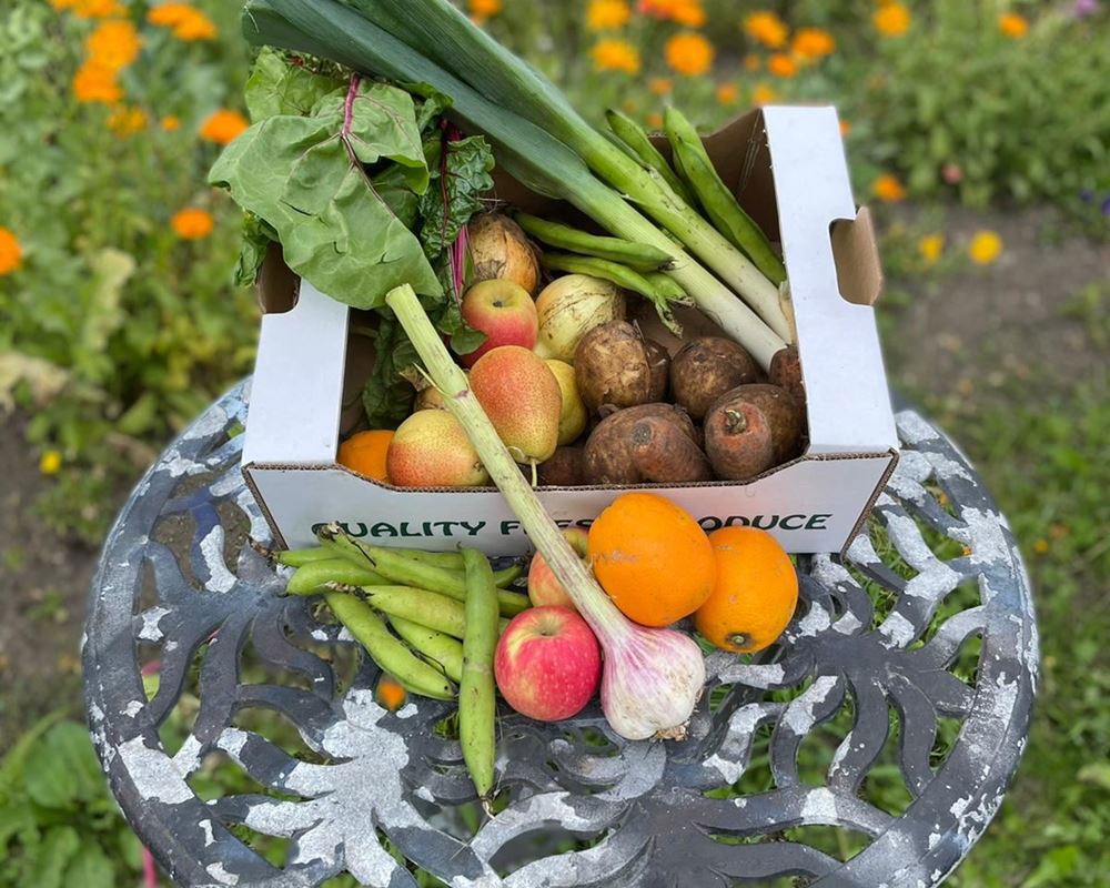 Fruit & Vegetable box - Medium