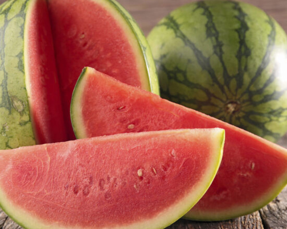 Watermelon ES
