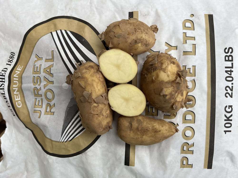 Potato: Jersey Royal