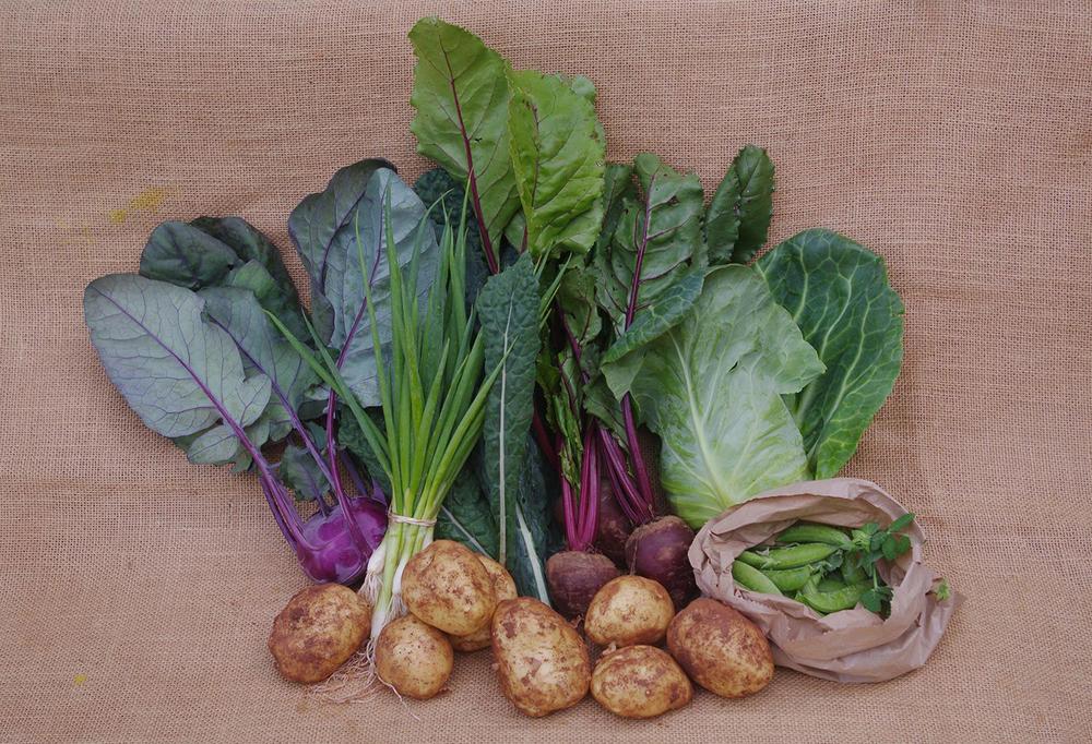 Farm Box - Organic