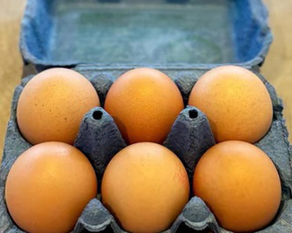 Eggs - Free Range (1/2 Dozen)