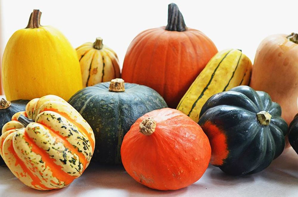 Squash Autumn Varieties || ~1.5kg ||