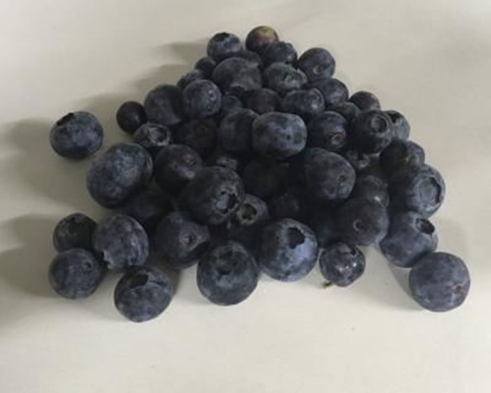 Blueberries - Organic UK