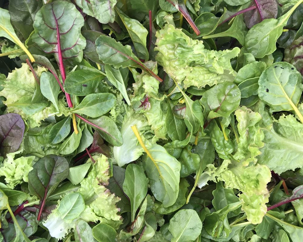 Mixed Leaf Salad Bag 120g