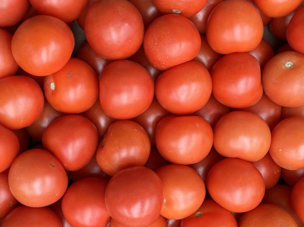 Salad Tomatoes