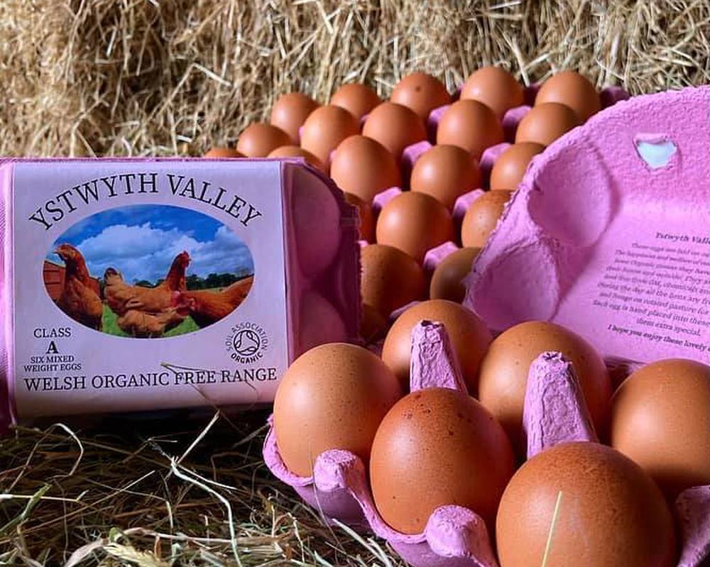 Organic Eggs x6