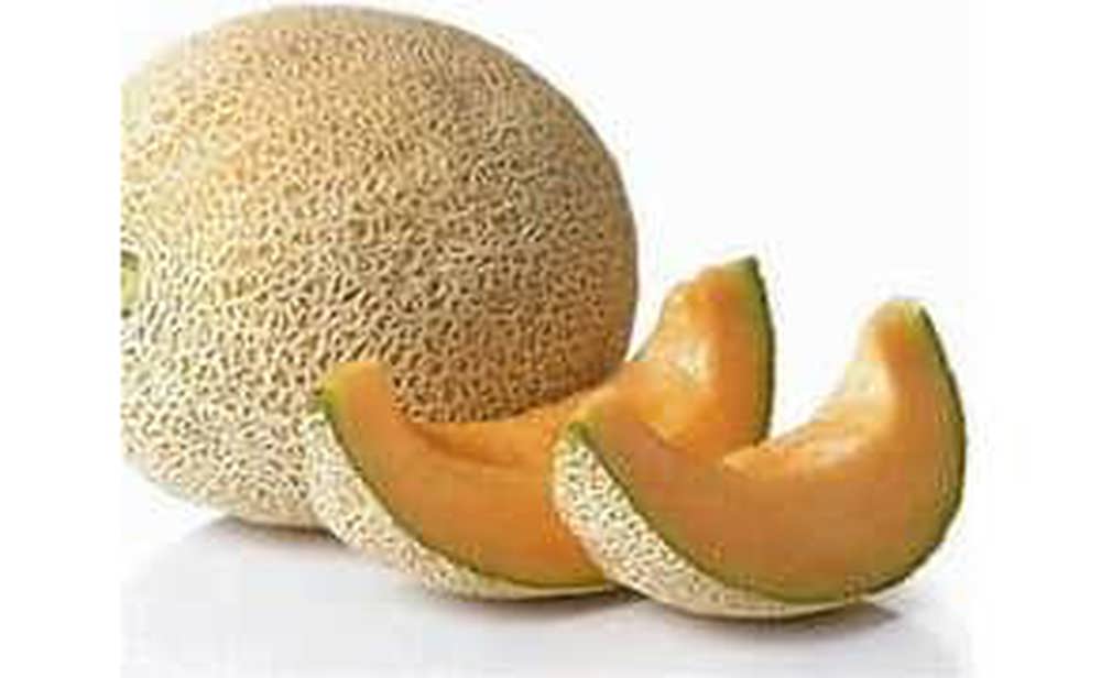 Melon. Cantatloupe