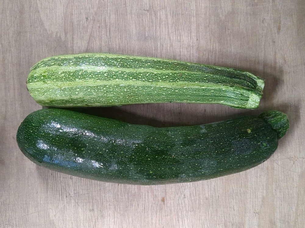 Organic Courgette from Regather Farm (500g)