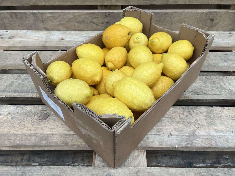 Organic Lemon