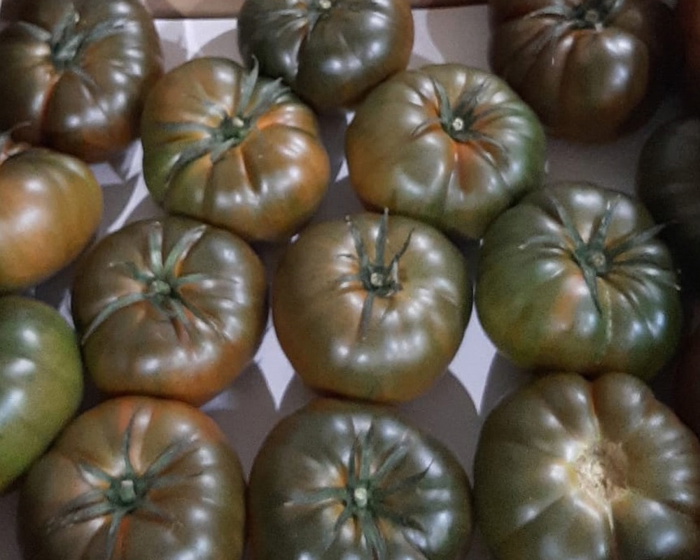 Tomatoes - Black Ribbed (Spain)