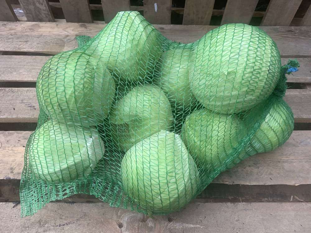 Organic White Cabbage (1kg)