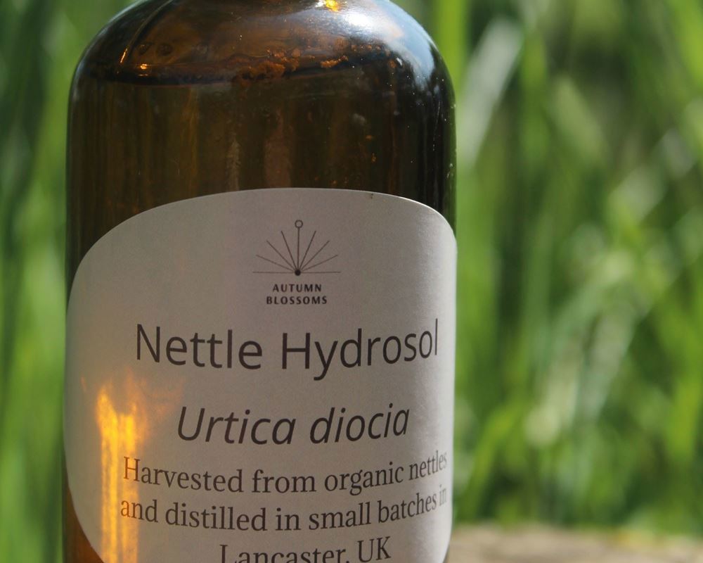 (Autumn Blossoms) Nettle Hydrosol 100ml