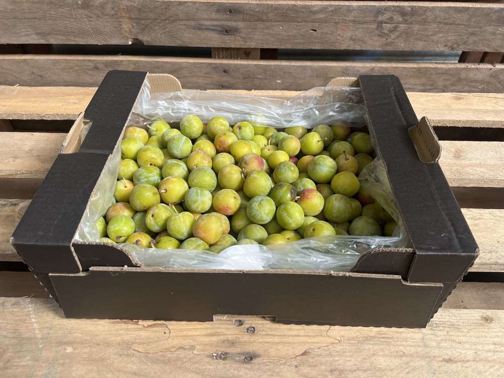 Greengages - Organic British