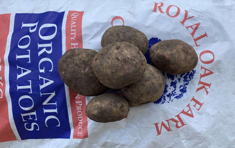 Potatoes - British Cara White