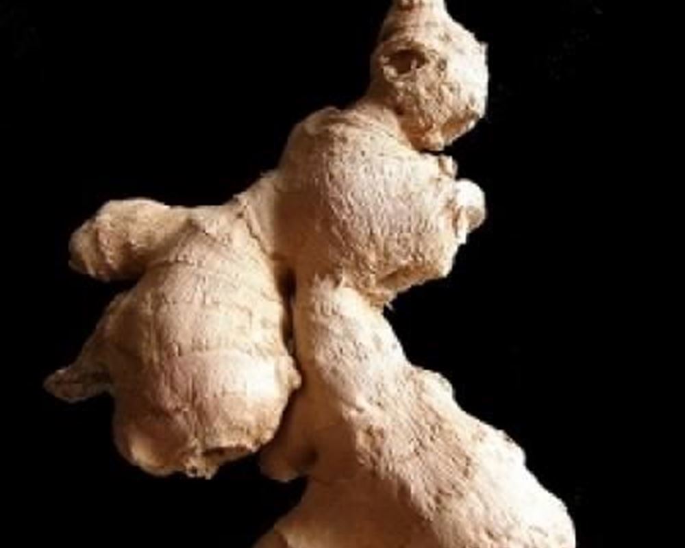 Ginger - Fresh Organic 150g