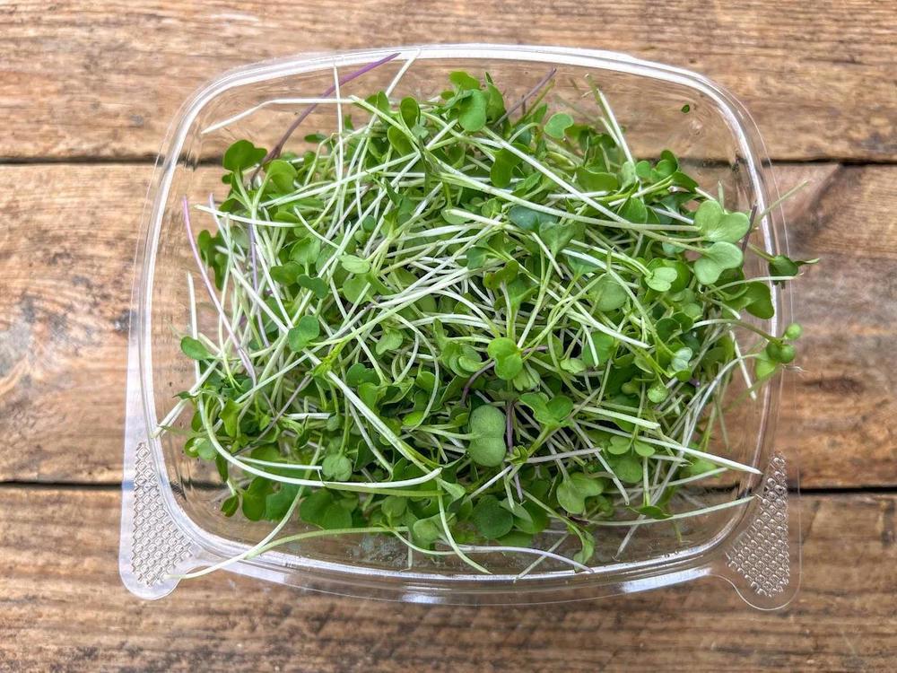 Micro Greens Mix