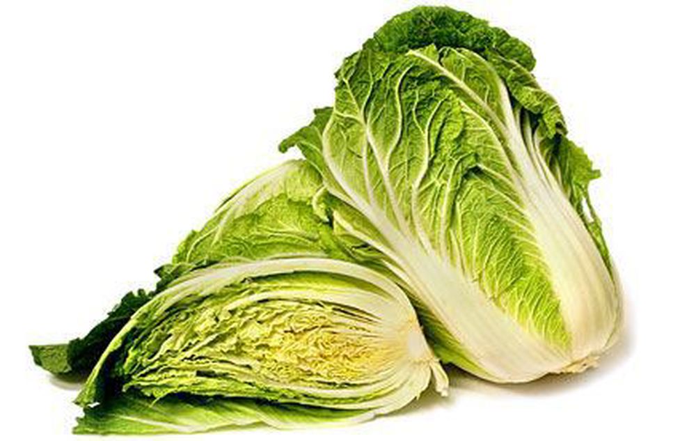 Cabbage: Napa