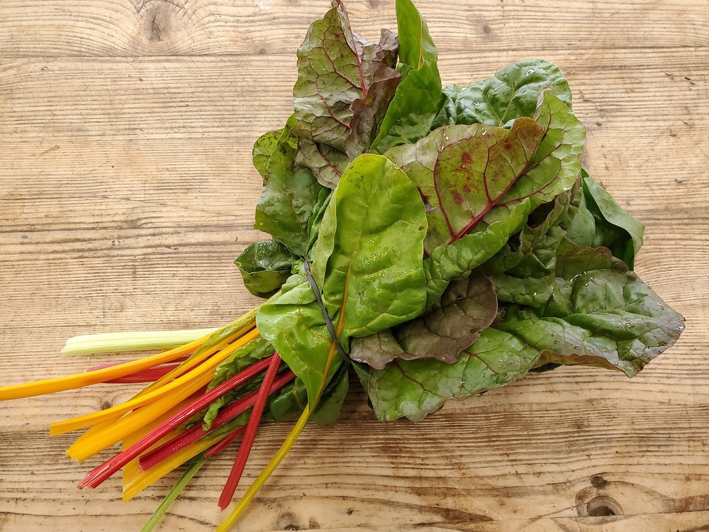 Rainbow chard