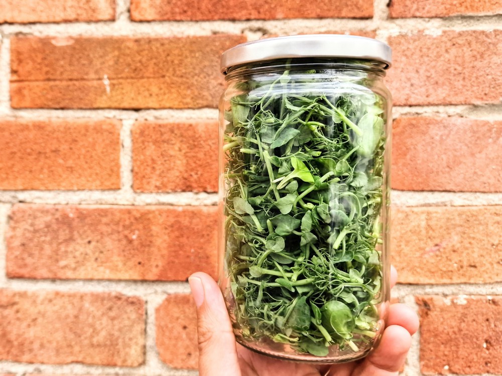 Micro Salad Mix (in returnable glass jars)