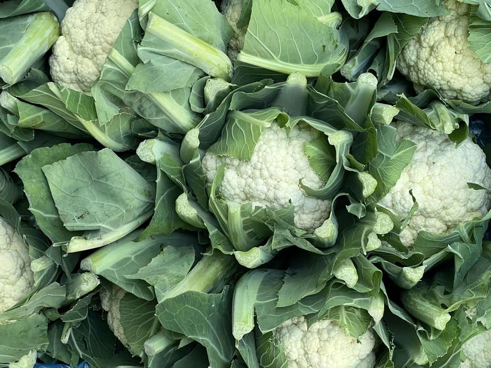 Cauliflower - Mini Organic British