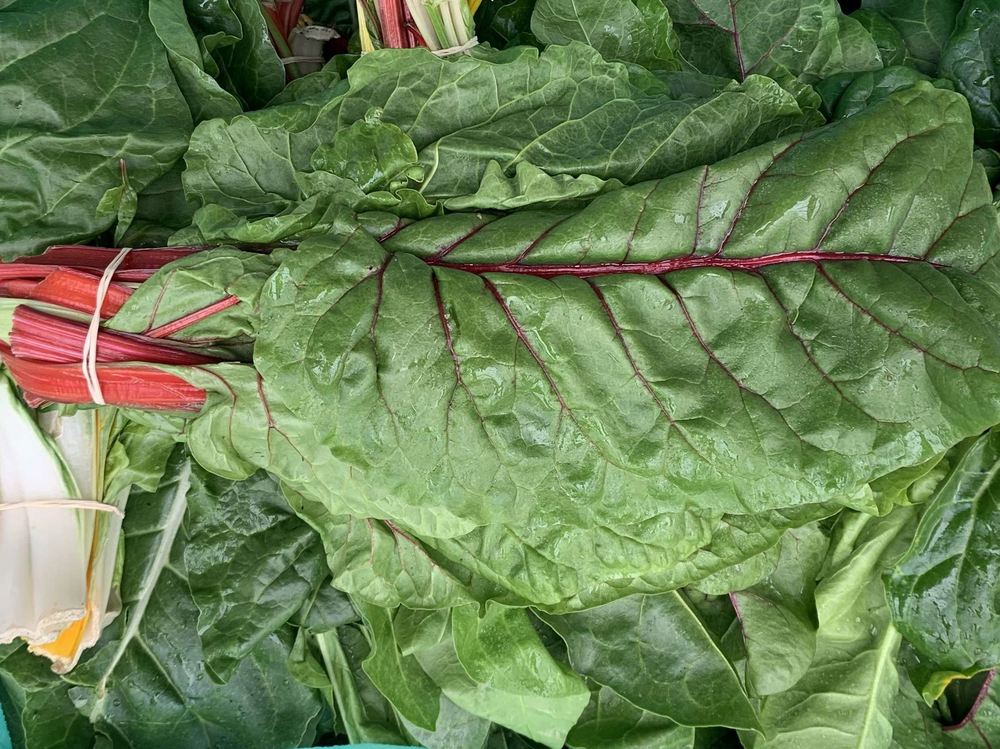 Chard - Rainbow (France)